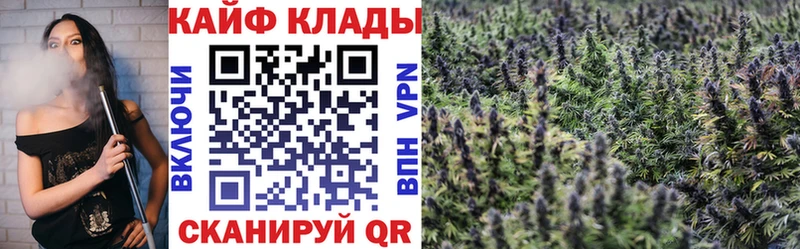 Купить закладку Alpha-PVP  Кокаин  Меф  АМФ  Метамфетамин  ГАШИШ  Шебекино