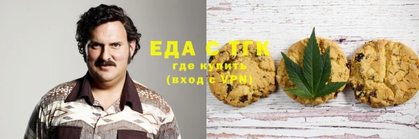 первитин Новозыбков