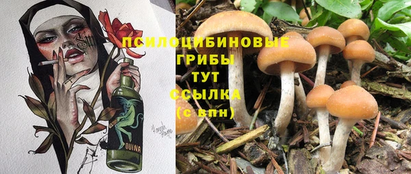 MDMA Нефтекумск