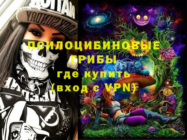 винт Нея