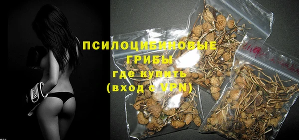 молекула духа Нефтегорск