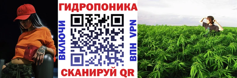Купить  Шебекино  Конопля Amnesia 